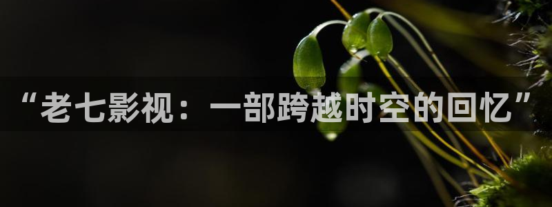 青苹果乐园影院大全免费观看